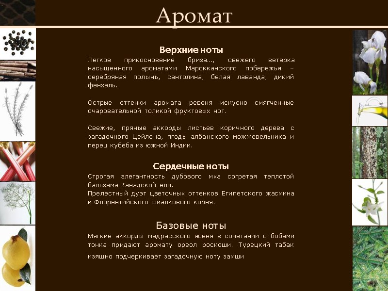 Верхние ноты Легкое прикосновение бриза…, свежего ветерка насыщенного ароматами Марокканского побережья – серебряная полынь,